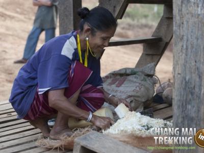 Photos from our guests | Chiang Mai Trekking | The best trekking in Chiang Mai with Piroon Nantaya